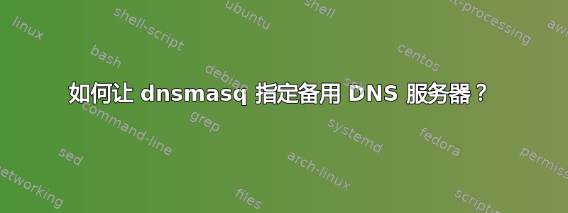 如何让 dnsmasq 指定备用 DNS 服务器？