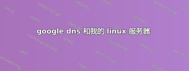 google dns 和我的 linux 服务器