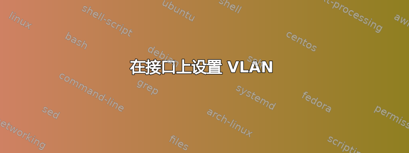 在接口上设置 VLAN