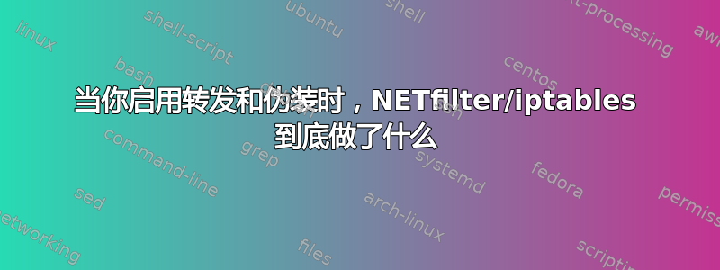 当你启用转发和伪装时，NETfilter/iptables 到底做了什么