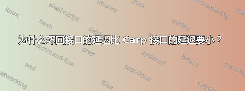 为什么环回接口的延迟比 Carp 接口的延迟要小？