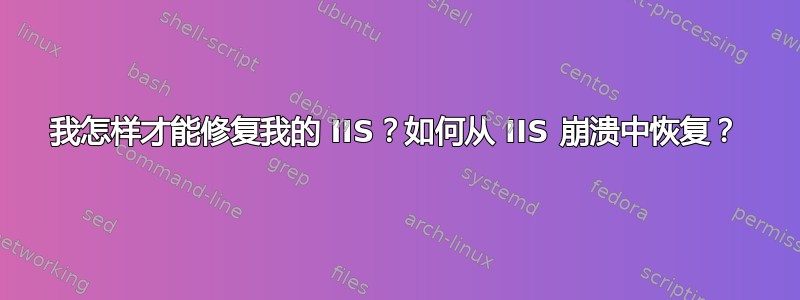 我怎样才能修复我的 IIS？如何从 IIS 崩溃中恢复？