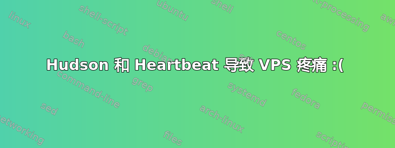 Hudson 和 Heartbeat 导致 VPS 疼痛 :(