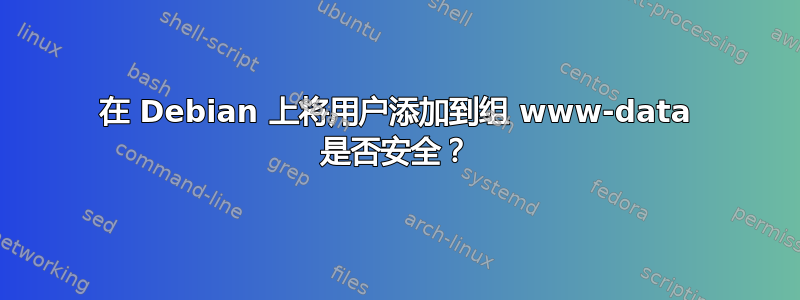 在 Debian 上将用户添加到组 www-data 是否安全？