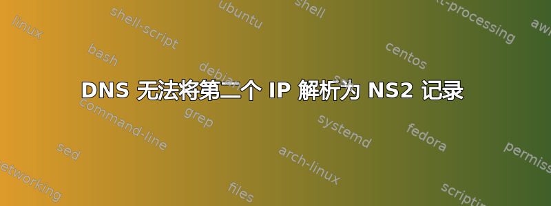 DNS 无法将第二个 IP 解析为 NS2 记录