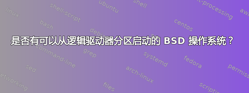 是否有可以从逻辑驱动器分区启动的 BSD 操作系统？