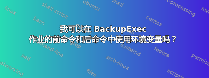 我可以在 BackupExec 作业的前命令和后命令中使用环境变量吗？