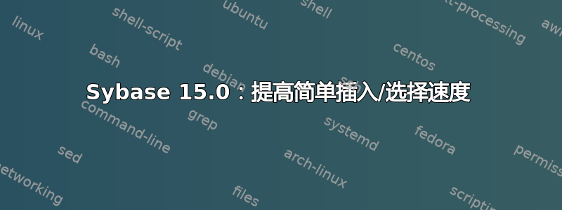 Sybase 15.0：提高简单插入/选择速度