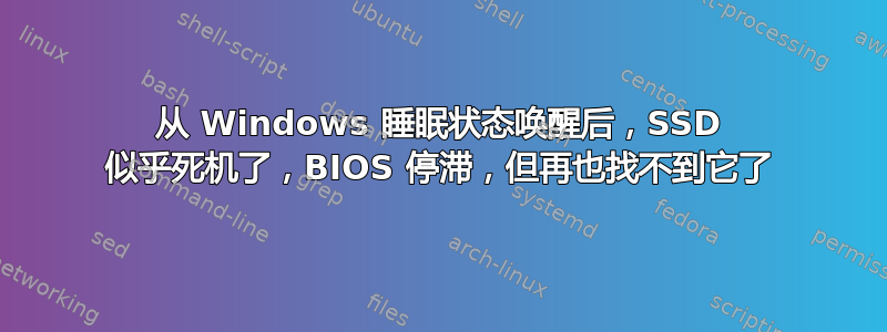 从 Windows 睡眠状态唤醒后，SSD 似乎死机了，BIOS 停滞，但再也找不到它了