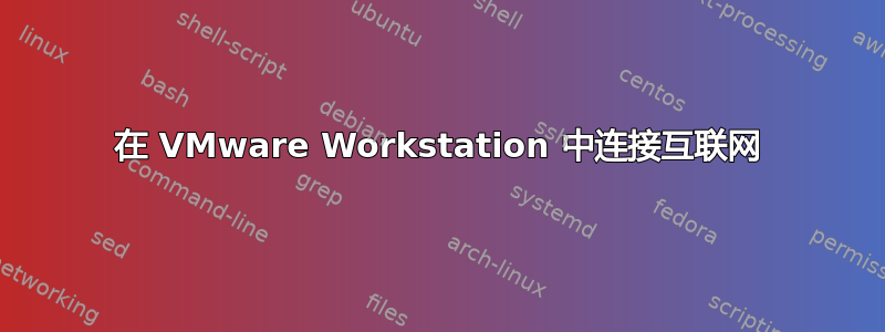 在 VMware Workstation 中连接互联网