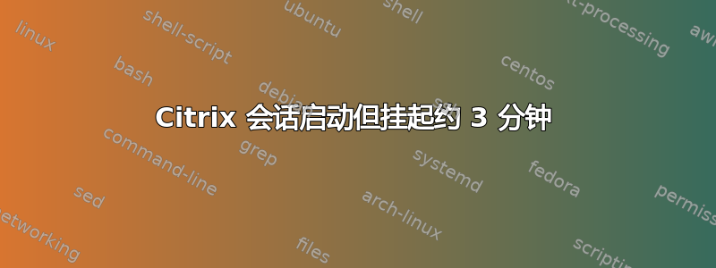 Citrix 会话启动但挂起约 3 分钟