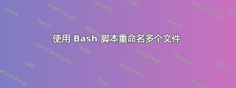 使用 Bash 脚本重命名多个文件