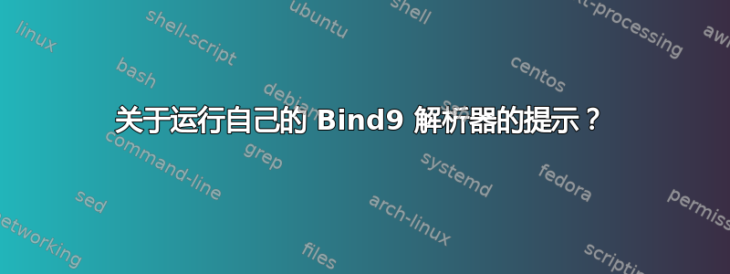 关于运行自己的 Bind9 解析器的提示？