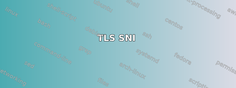 TLS SNI