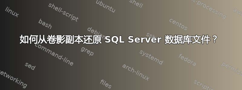 如何从卷影副本还原 SQL Server 数据库文件？