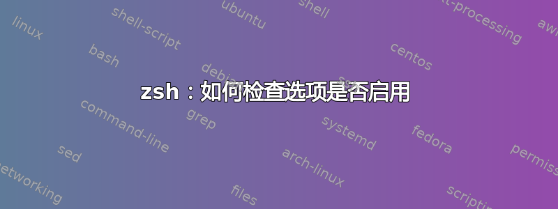 zsh：如何检查选项是否启用