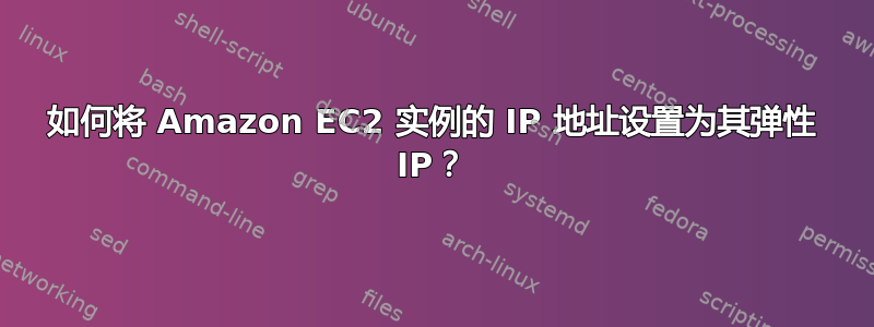 如何将 Amazon EC2 实例的 IP 地址设置为其弹性 IP？