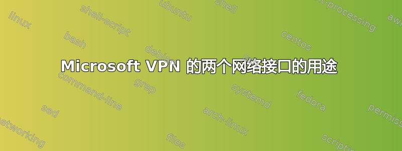 Microsoft VPN 的两个网络接口的用途