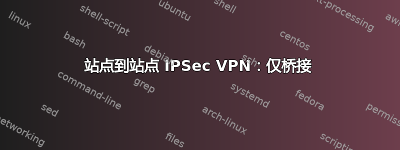 站点到站点 IPSec VPN：仅桥接