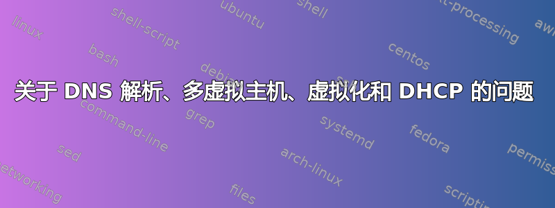 关于 DNS 解析、多虚拟主机、虚拟化和 DHCP 的问题