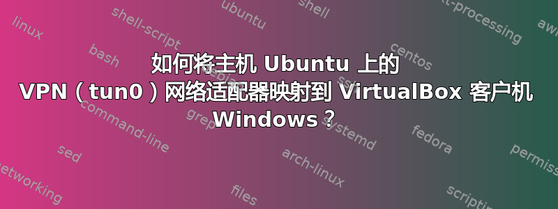 如何将主机 Ubuntu 上的 VPN（tun0）网络适配器映射到 VirtualBox 客户机 Windows？