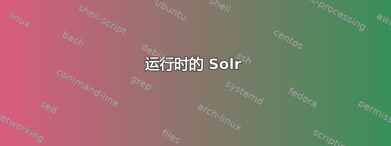 运行时的 Solr