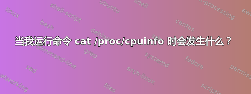 当我运行命令 cat /proc/cpuinfo 时会发生什么？