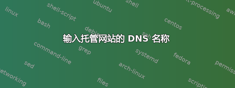 输入托管网站的 DNS 名称