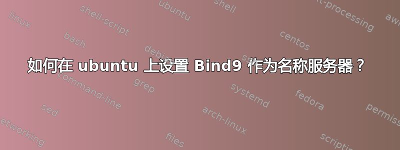 如何在 ubuntu 上设置 Bind9 作为名称服务器？