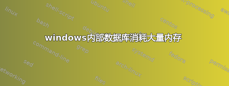 windows内部数据库消耗大量内存