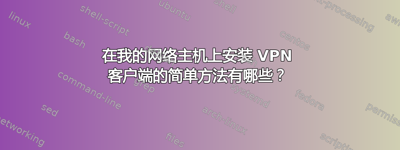 在我的网络主机上安装 VPN 客户端的简单方法有哪些？