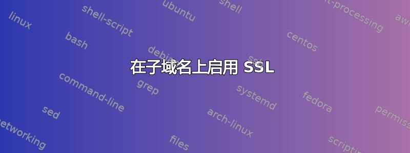 在子域名上启用 SSL