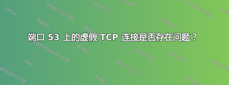 端口 53 上的虚假 TCP 连接是否存在问题？