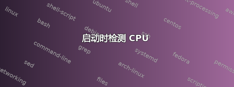 启动时检测 CPU