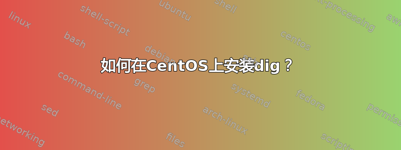 如何在CentOS上安装dig？