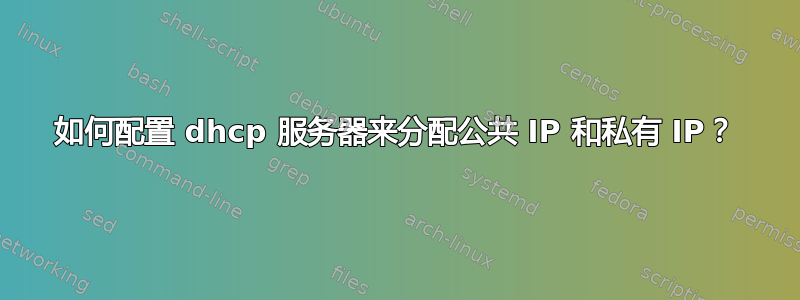 如何配置 dhcp 服务器来分配公共 IP 和私有 IP？