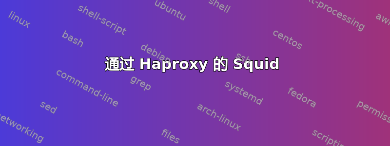 通过 Haproxy 的 Squid