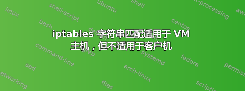 iptables 字符串匹配适用于 VM 主机，但不适用于客户机