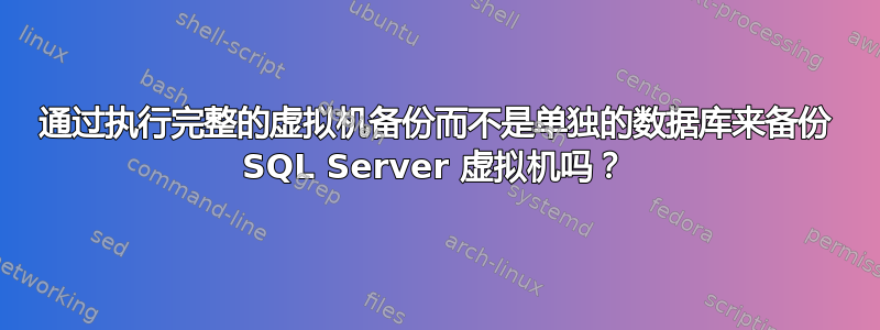 通过执行完整的虚拟机备份而不是单独的数据库来备份 SQL Server 虚拟机吗？