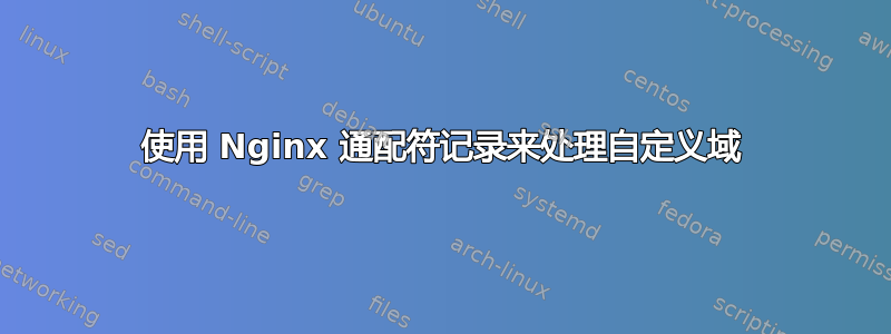 使用 Nginx 通配符记录来处理自定义域