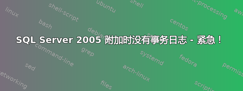 SQL Server 2005 附加时没有事务日志 - 紧急！