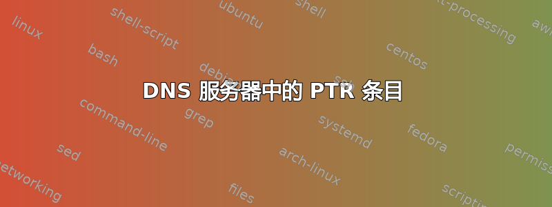 DNS 服务器中的 PTR 条目