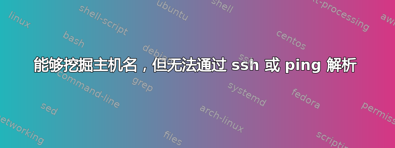 能够挖掘主机名，但无法通过 ssh 或 ping 解析