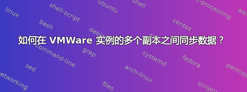 如何在 VMWare 实例的多个副本之间同步数据？