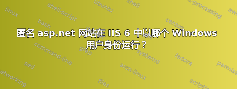 匿名 asp.net 网站在 IIS 6 中以哪个 Windows 用户身份运行？