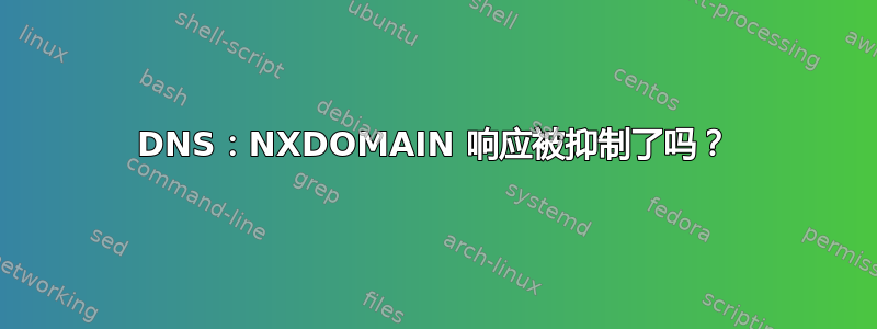 DNS：NXDOMAIN 响应被抑制了吗？