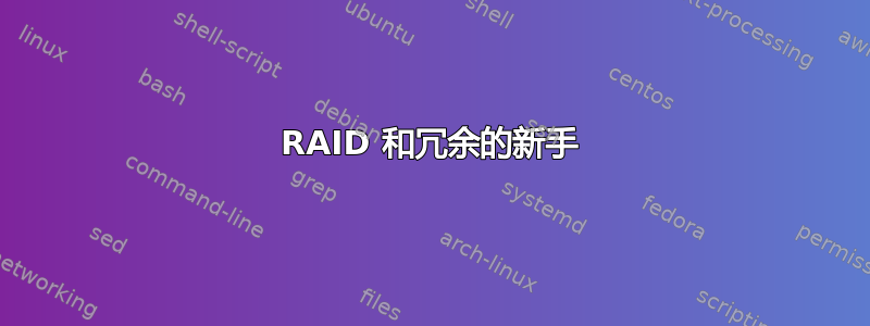 RAID 和冗余的新手