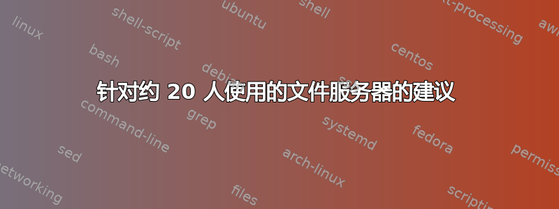 针对约 20 人使用的文件服务器的建议