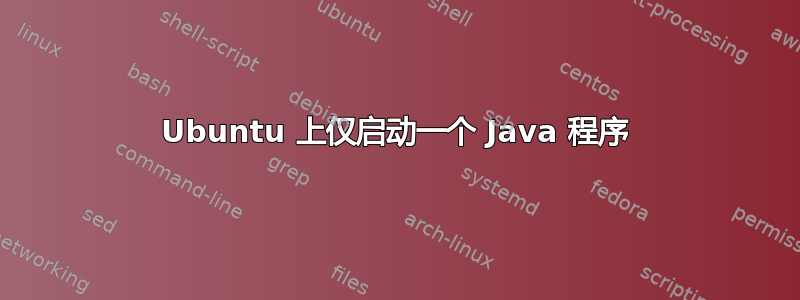 Ubuntu 上仅启动一个 Java 程序